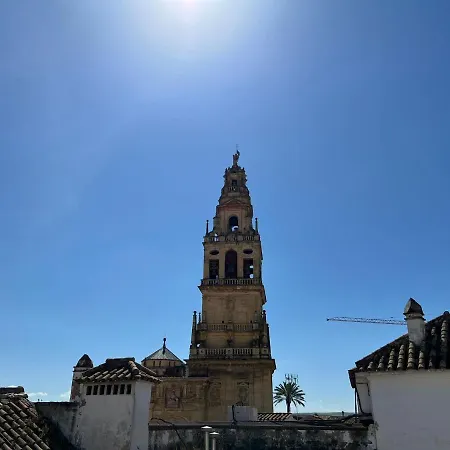 Daire Apartamento Los Califas A 100m De La Catedral